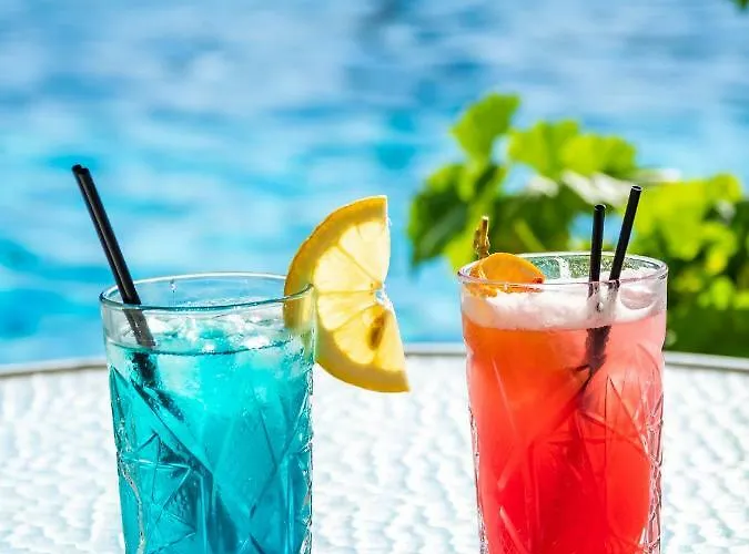 ホテル Palace - Adults Only パレオカストリッツア